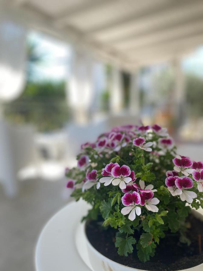 Borgo Incoronata Bed & Breakfast